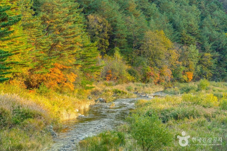 중봉계곡_4_공공1유형.jpg