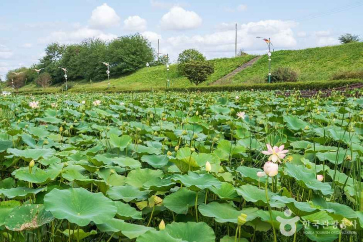 조천연꽃공원_1_공공3유형.jpg