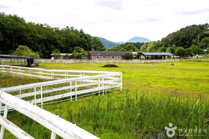 양평양떼목장_4_공공1유형.jpg