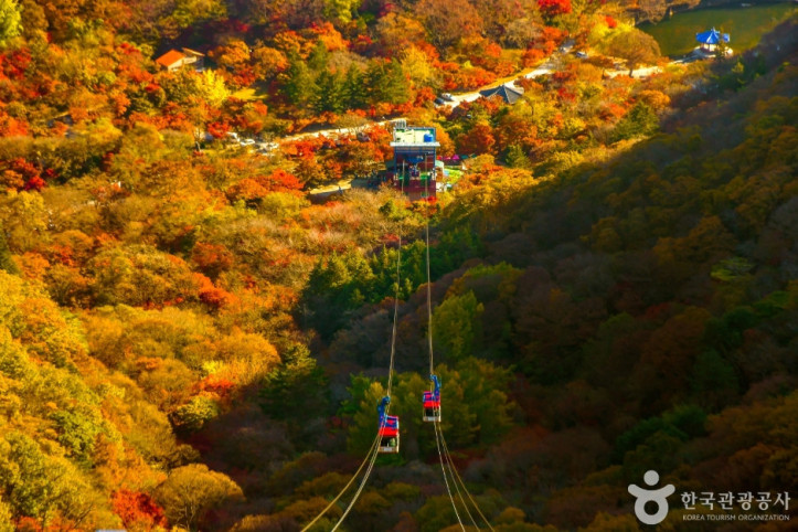 내장산_케이블카_5_공공1유형.jpg