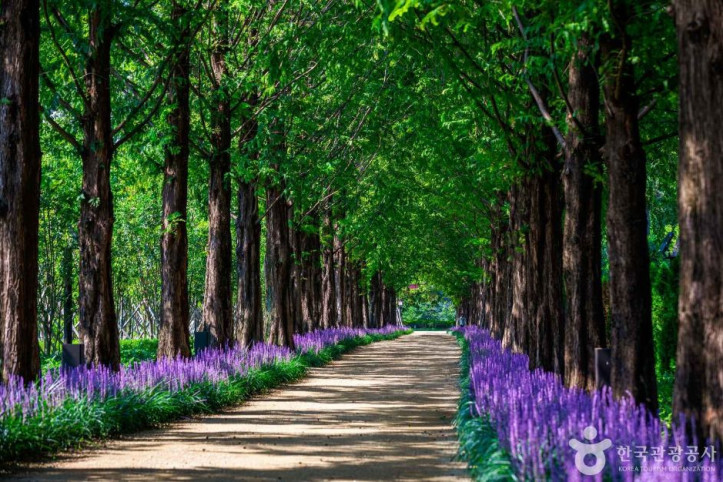 우로지_자연생태공원_2_공공1유형.JPG