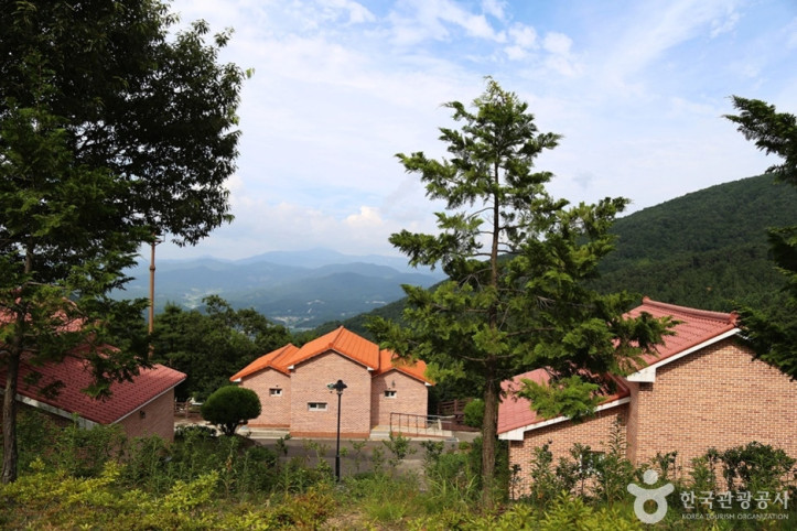 동의보감촌한방자연휴양림_7_공공3유형.JPG