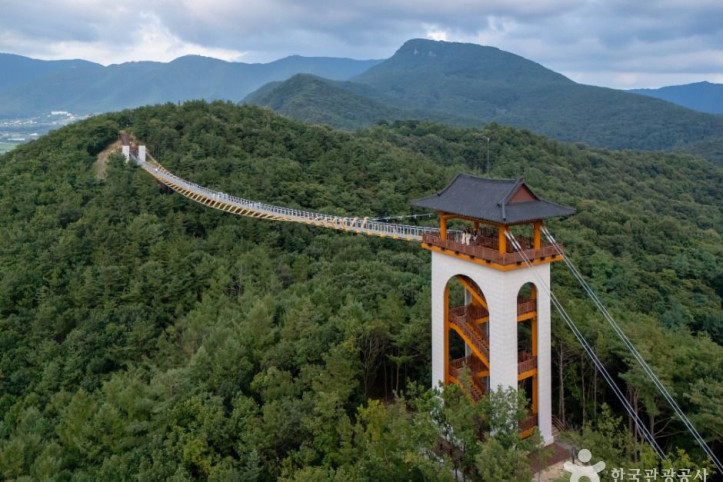 봉명산_출렁다리_1_공공1유형.jpg