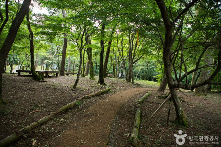 장생의숲길_5_공공3유형.jpg
