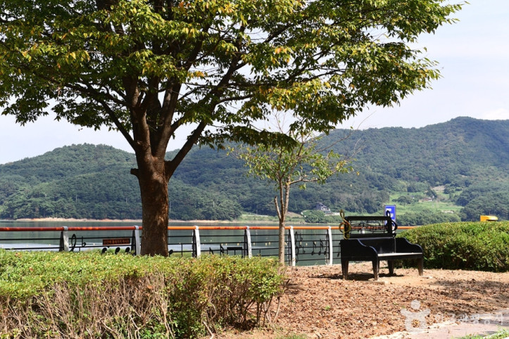 불갑저수지_수변공원_5_공공3유형.jpg