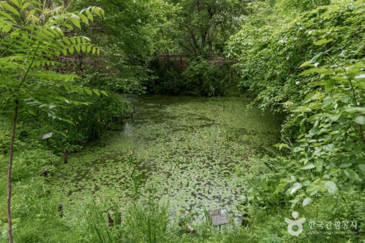 방이동_생태경관_보전지역_2_공공1유형.jpg