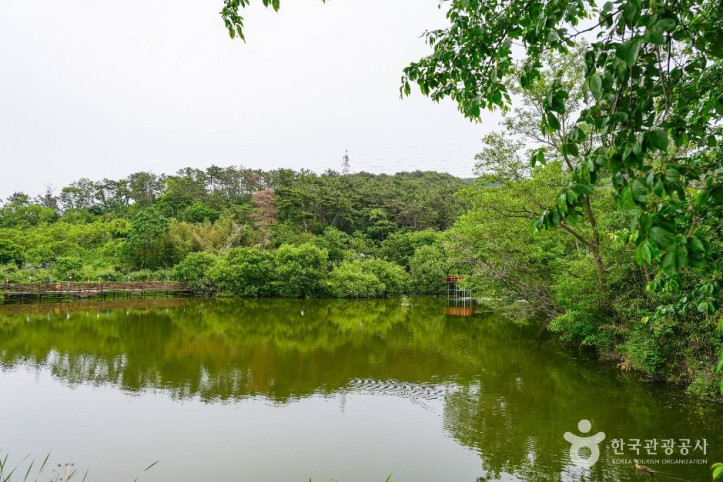 화동못수변공원_2_공공1유형.jpg