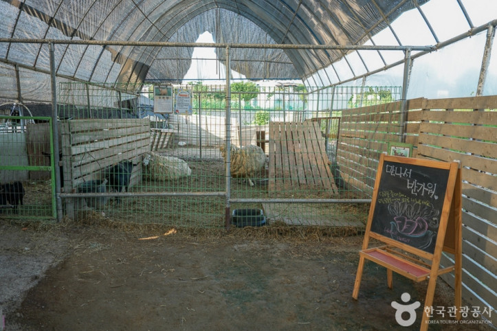 강화도_자연체험농장_2_공공3유형.jpg