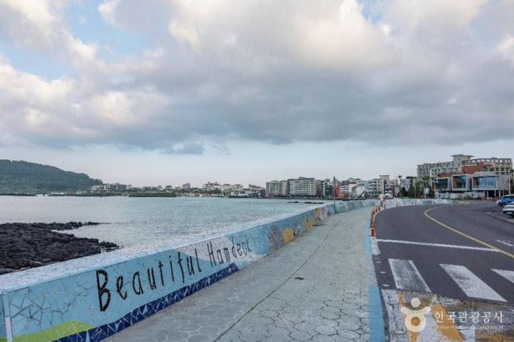 조천함덕해안도로_3_공공1유형.jpg