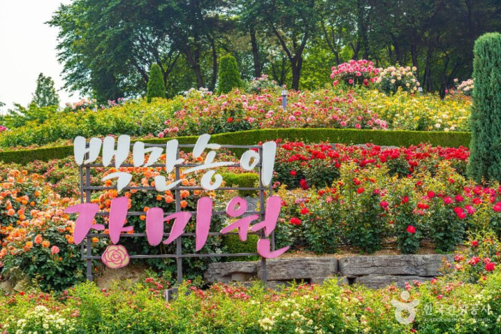 백만송이장미원_1_공공1유형.jpg