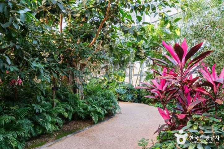 레인보우식물원_6_공공1유형.jpg