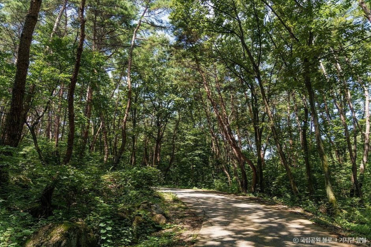 팔공산국립공원(은해사지구)_4_공공3유형.jpg