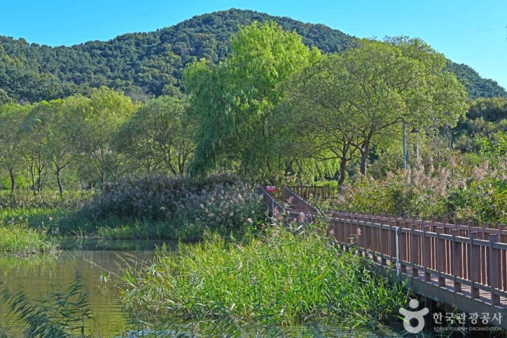 하동천_생태탐방로_4_공공3유형.JPG