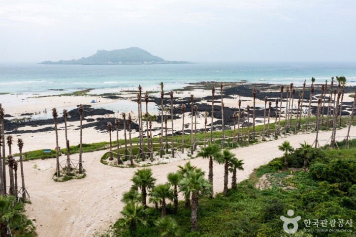 협재해수욕장_6_공공1유형.jpg