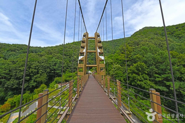 증평_좌구산_명상구름다리_3_공공3유형.JPG