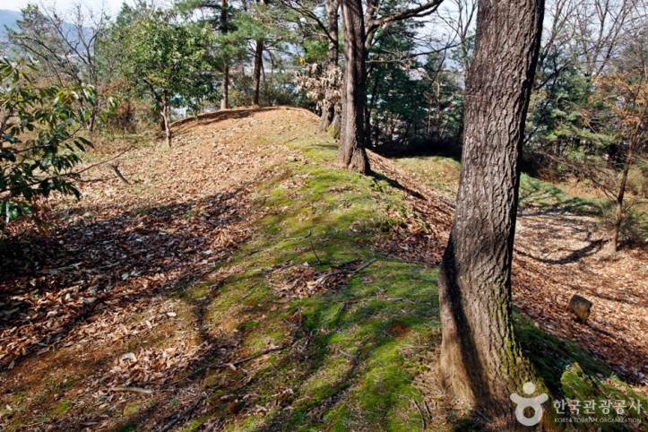 충주_견학리_토성_1_공공3유형.JPG