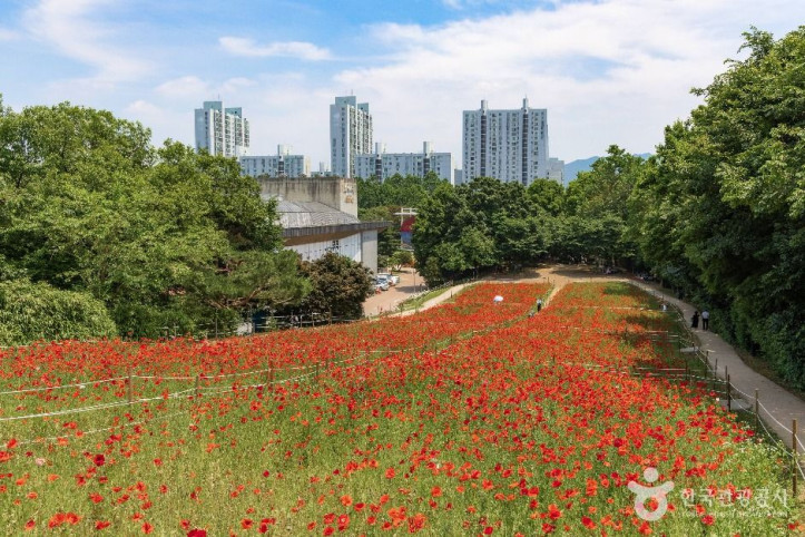 올림픽공원_들꽃마루_5_공공1유형.jpg