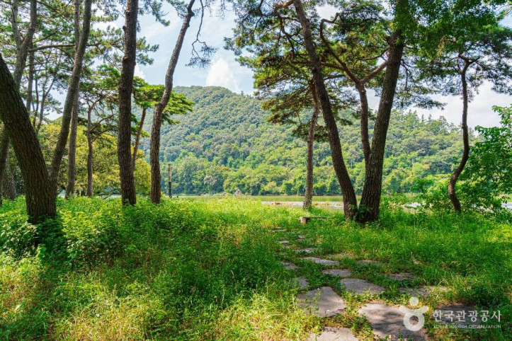 드들강솔밭유원지_5_공공1유형.jpg