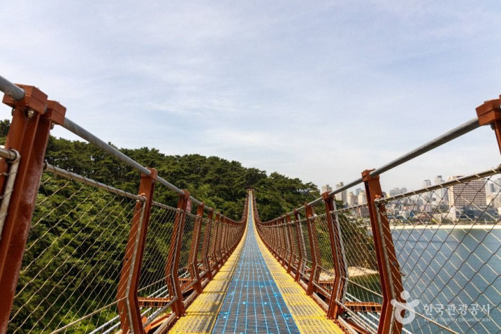 대왕암공원_출렁다리_4_공공1유형.jpg