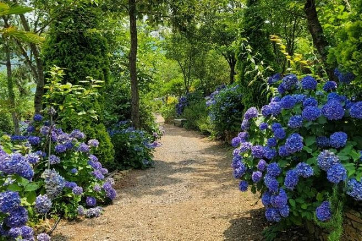 물빛소리정원_1_공공3유형.jpg
