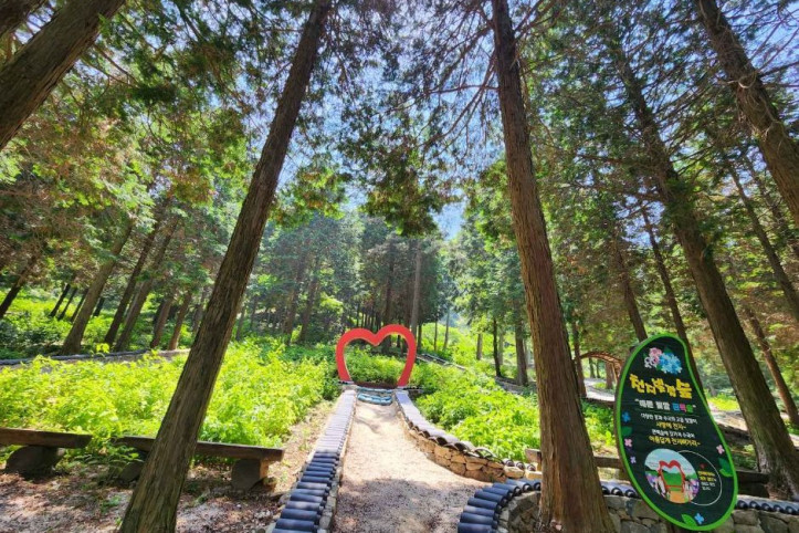 갈모봉_산림욕장_5_공공3유형.jpg