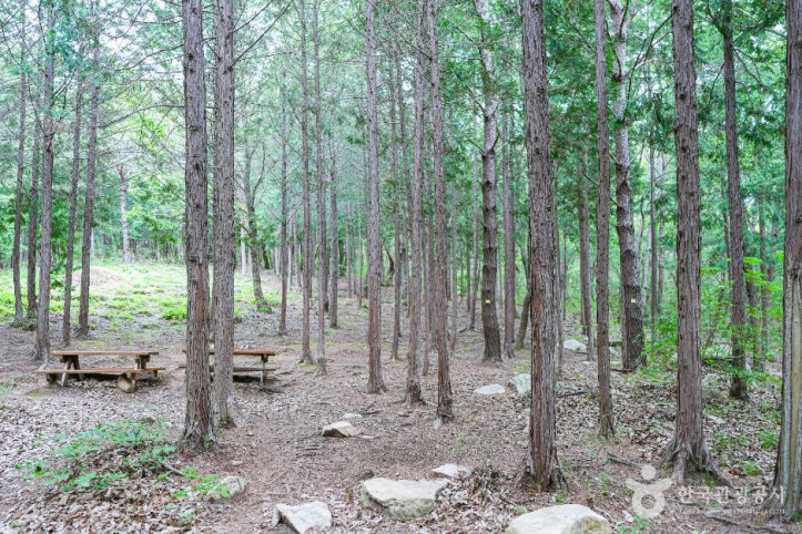 북구_편백산림욕장_2_공공1유형.jpg