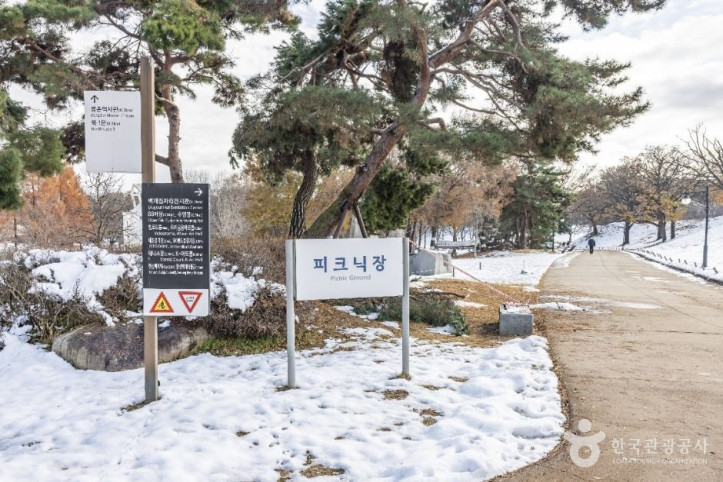 올림픽공원피크닉장_5_공공3유형.jpg