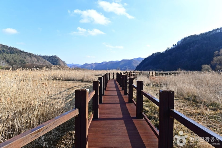장흥댐_신풍갈대습지_1_공공3유형.jpg