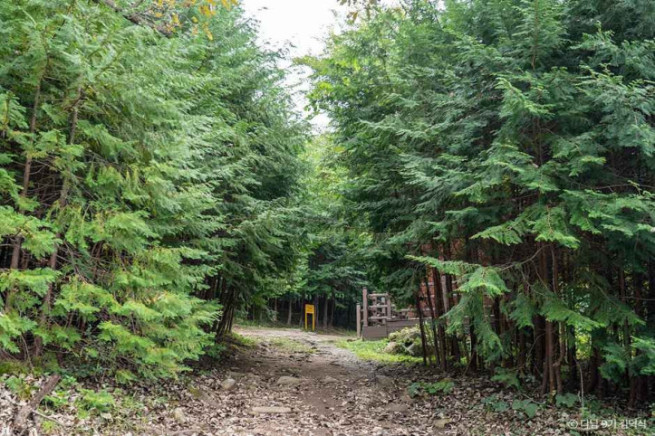 국립장성치유의숲(축령산삼나무편백숲)_3_공공1유형.jpg
