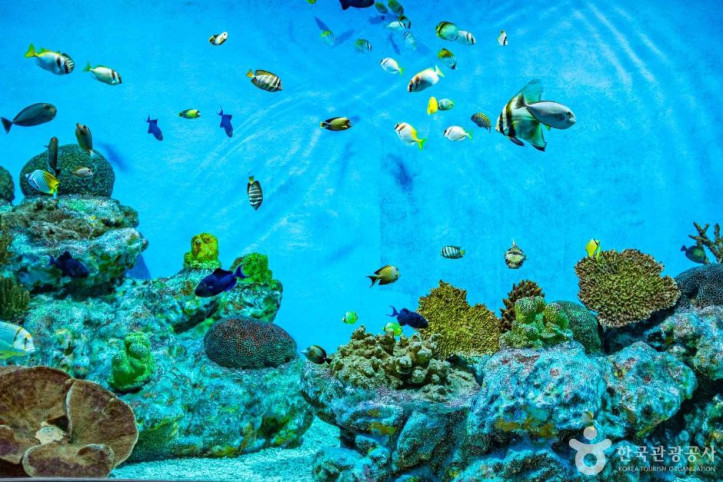 울진아쿠아리움_2_공공3유형.jpg