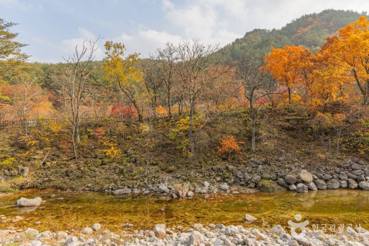 오대산_소금강계곡_2_공공1유형.jpg