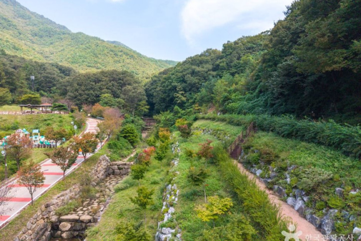 팔공산금화자연휴양림_5_공공1유형.JPG