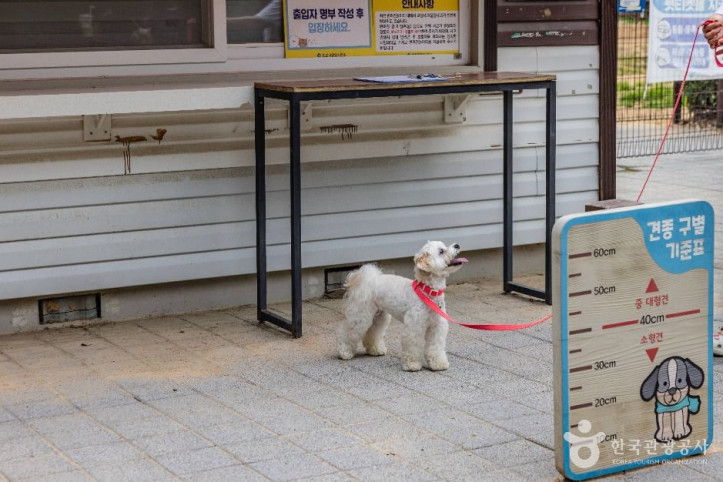 인천대공원_반려동물_놀이터_6_공공1유형.jpg