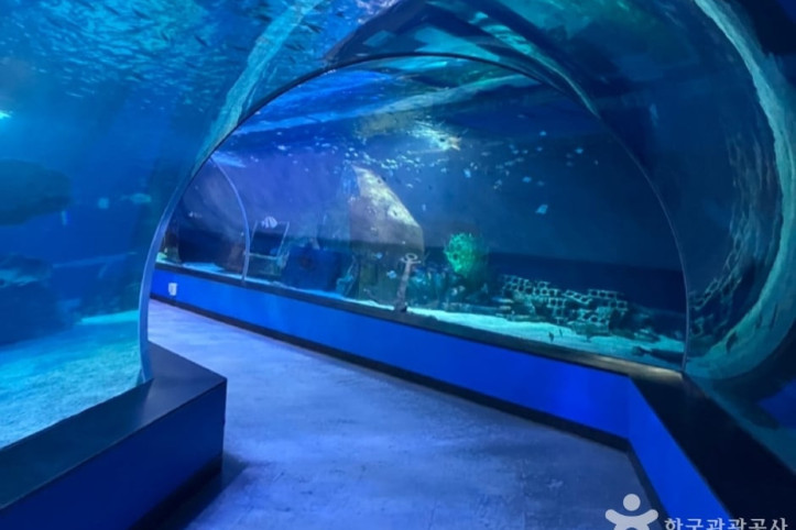 씨라이프부산아쿠아리움_4_공공3유형.jpg