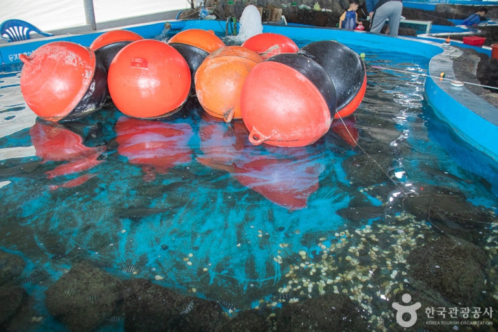 제주바다체험장_3_공공3유형.jpg