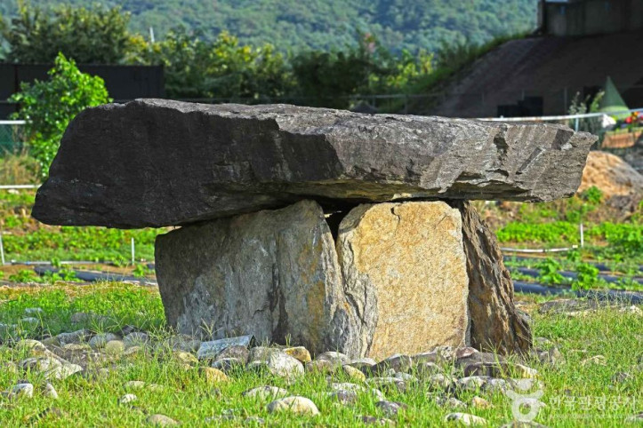 천전리_지석묘군_4_공공3유형.JPG
