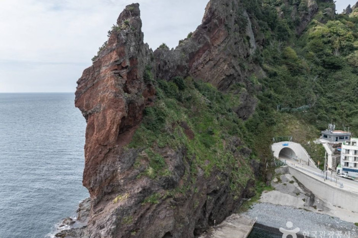 거북바위_및_향나무_자생지_(울릉도,_독도_국가지질공원)_7_공공1유형.jpg