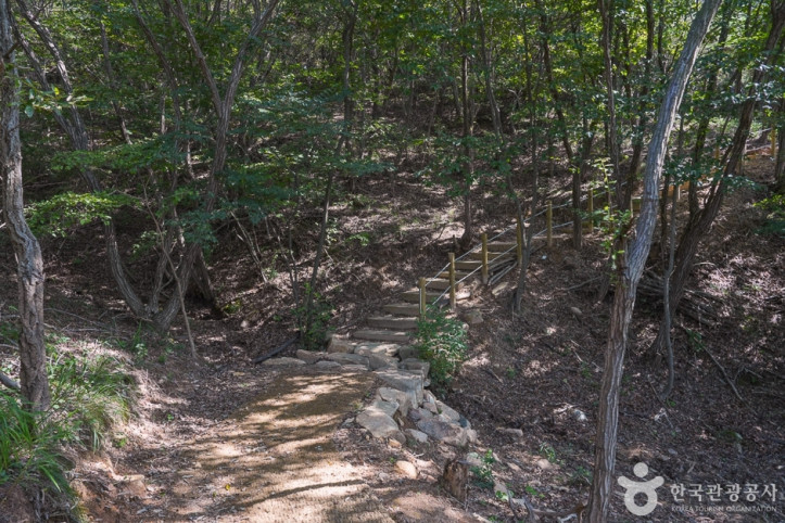 국립무의도자연휴양림_3_공공3유형.jpg