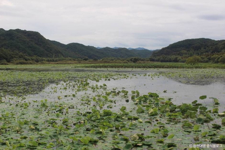 정양늪생태공원_4_공공3유형.jpg