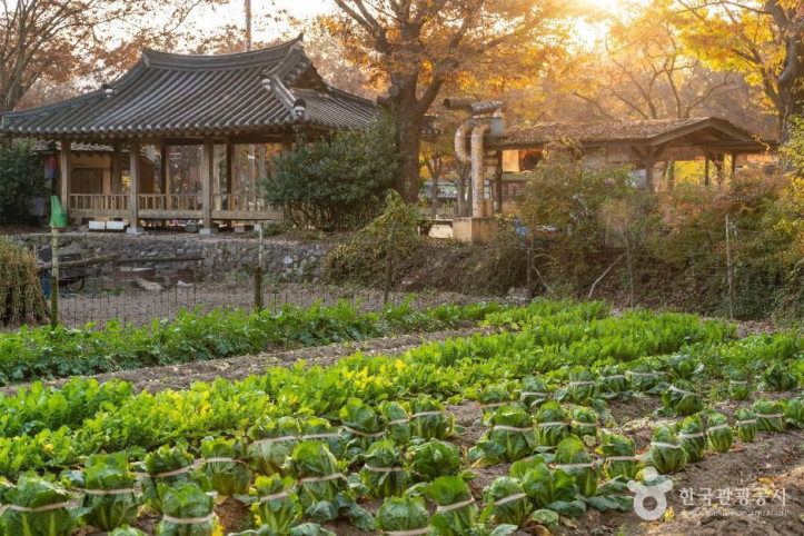 한국민속촌_9_공공1유형.jpg