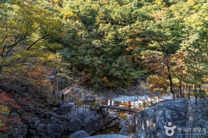 구룡폭포(소금강)_4_공공3유형.jpg