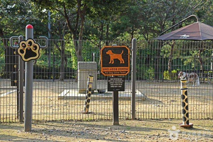 광교호수공원_반려견_놀이터_6_공공3유형.JPG