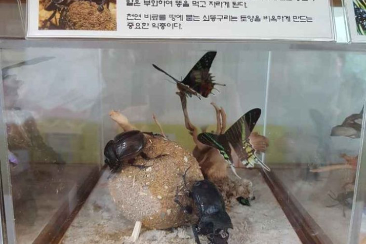 세산곤충체험농장_4_공공3유형.jpg