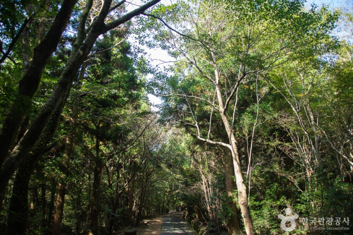 서귀포자연휴양림_8_공공3유형.jpg