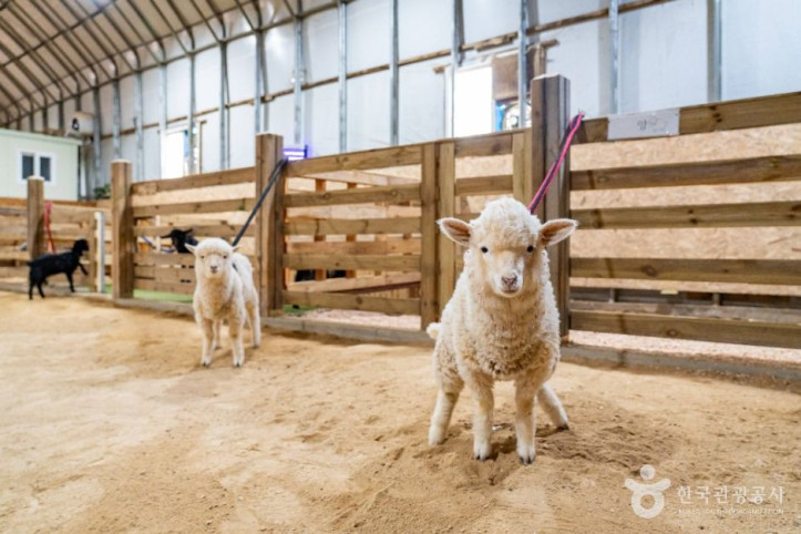 온동물체험농장_5_공공1유형.jpg