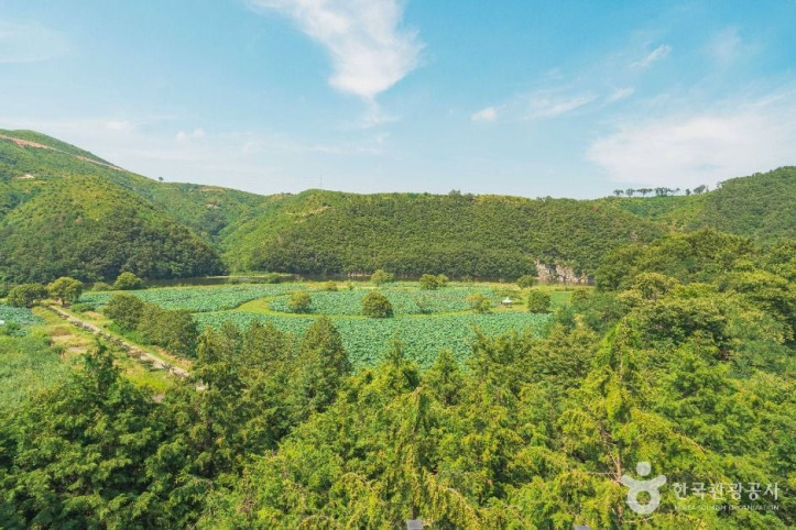 회야댐_생태습지_3_공공1유형.jpg
