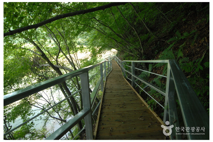주천강자연휴양림_3_공공3유형.jpg