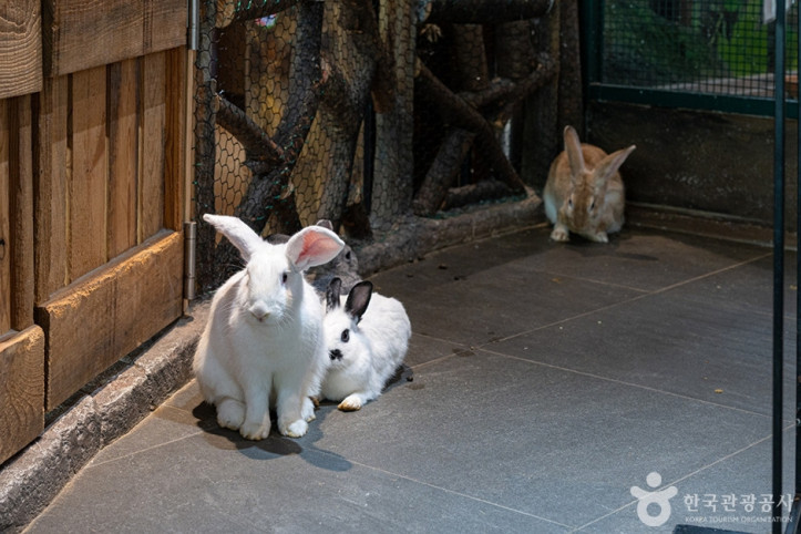 주렁주렁_동물원_동탄점_5_공공3유형.jpg