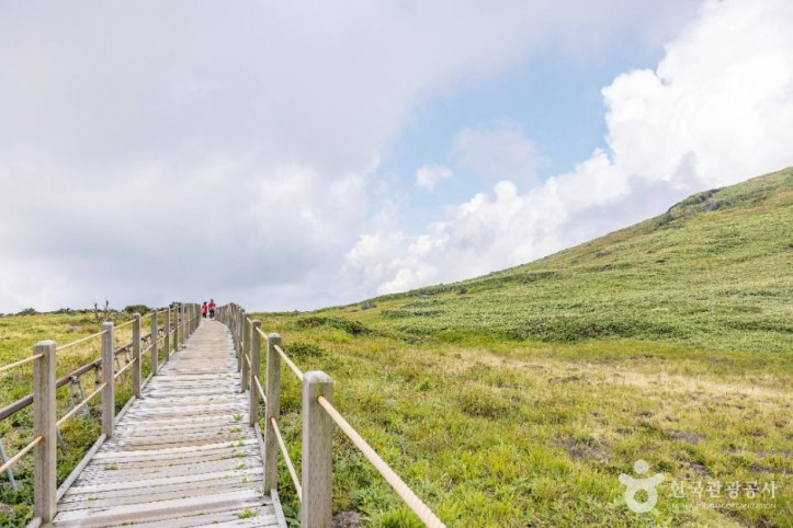 한라산_영실_1_공공1유형.jpg