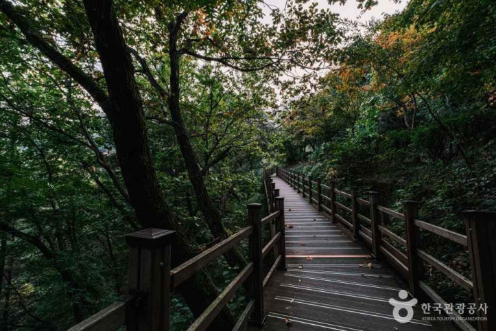 좌구산_자연휴양림_7_공공1유형.jpg
